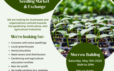 Seedling Market and Exchange on May 13th